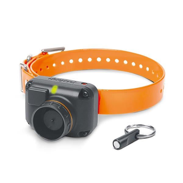Снаряжение для собаки Dogtra STB BEEPER COLLAR