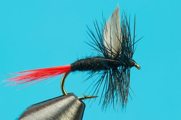 Мушки Big Y Fly Co. Black Gnat Red-Tail Dry Fly