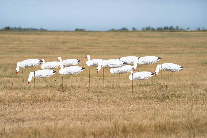 Чучело GHG Pro-Grade Snow Goose Sock Decoys