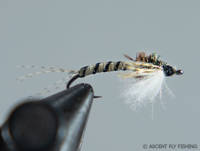 Мушки Ascent Fly Fishing MPMD Nymph