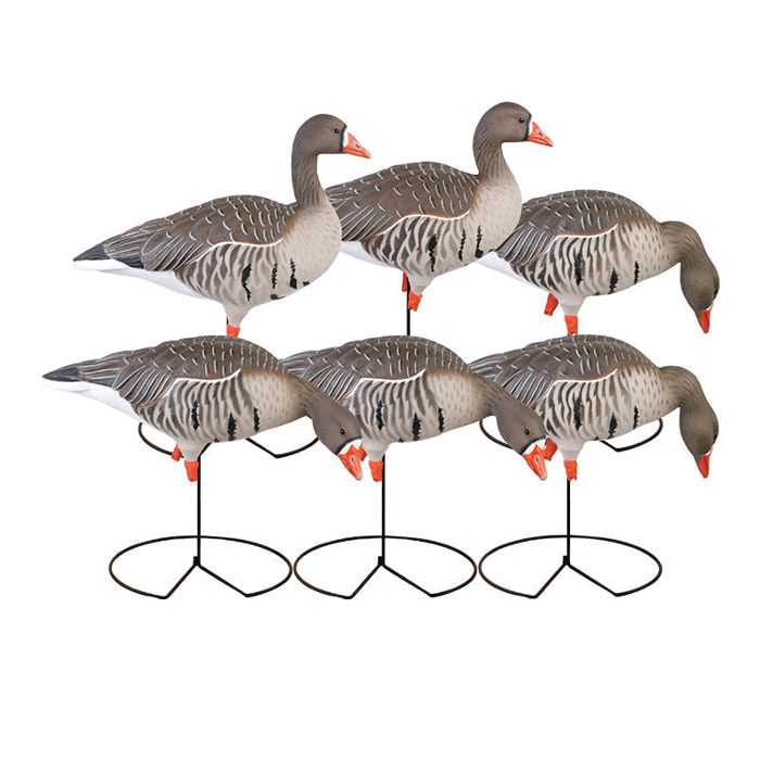 Чучело GHG Pro-Grade Full Body Specklebelly Decoys