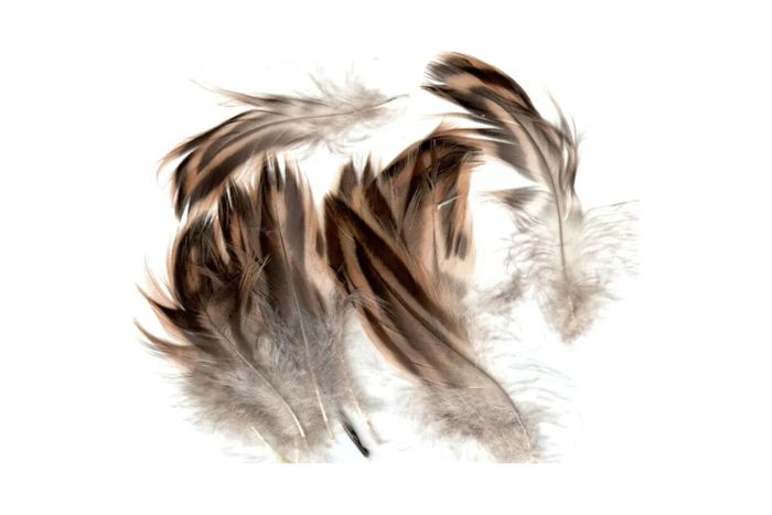 Материал для вязания мушек Hareline Hen Mallard Feathers