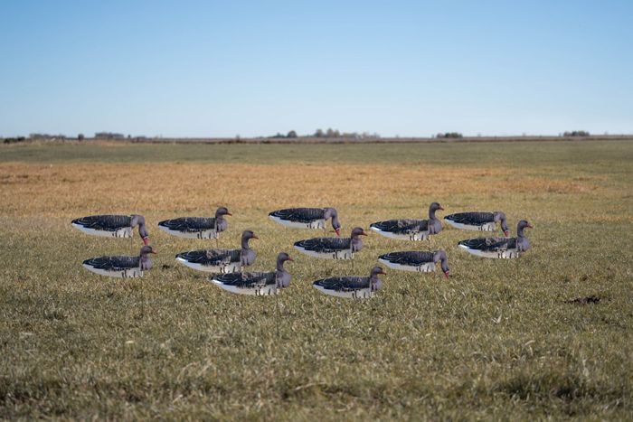 Чучело GHG Pro-Grade Specklebelly Goose Sock Decoys