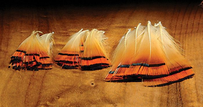 Поводковый материал Hareline Dubbin Golden Pheasant Tippets