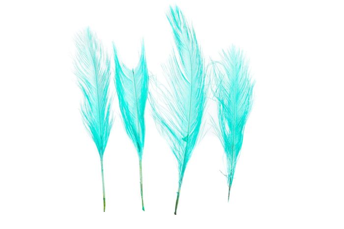 Материал для вязания мушек Spirit River UV2 Raptor Hackle