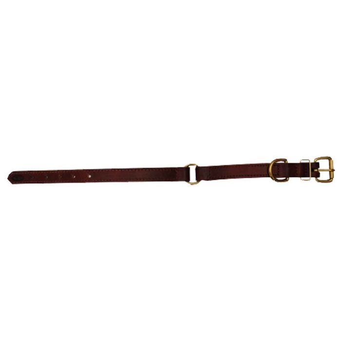 Снаряжение для собаки Mud River High Prairie 20in Leather Collar - With Safety