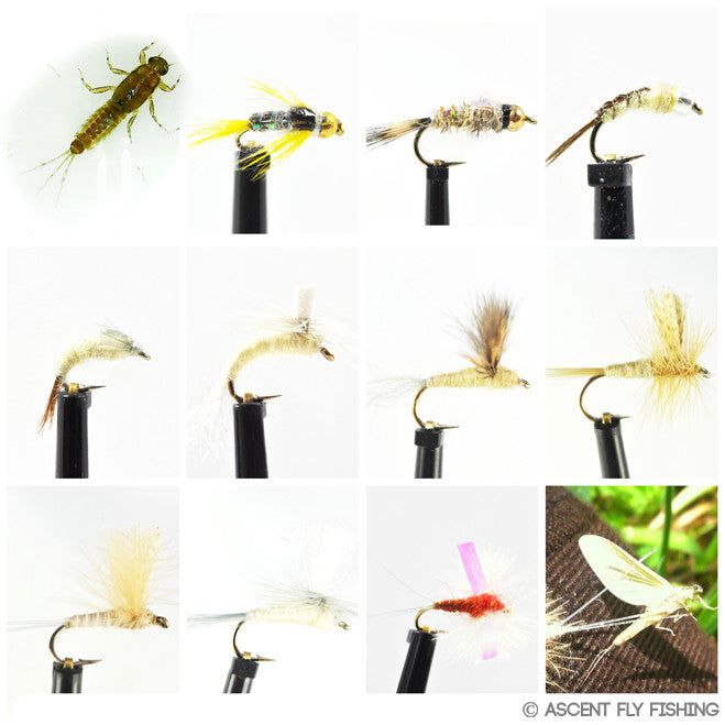Мушки Ascent Fly Fishing Pale Morning Dun / Pale Evening Dun Fly Selection
