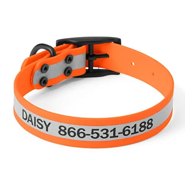 Снаряжение для собаки Orvis Waterproof Dog Collar