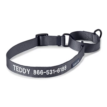 Снаряжение для собаки Orvis Martingale Collar & Leash Bundle