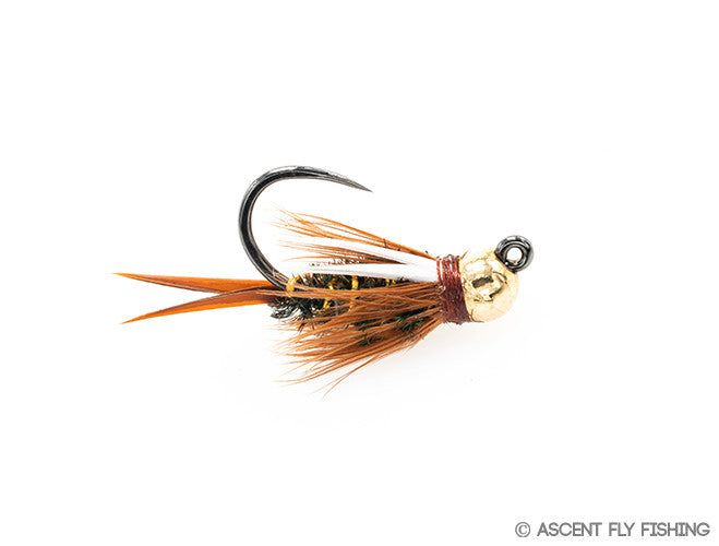 Ascent Fly Fishing Tungsten Jig Prince Nymph