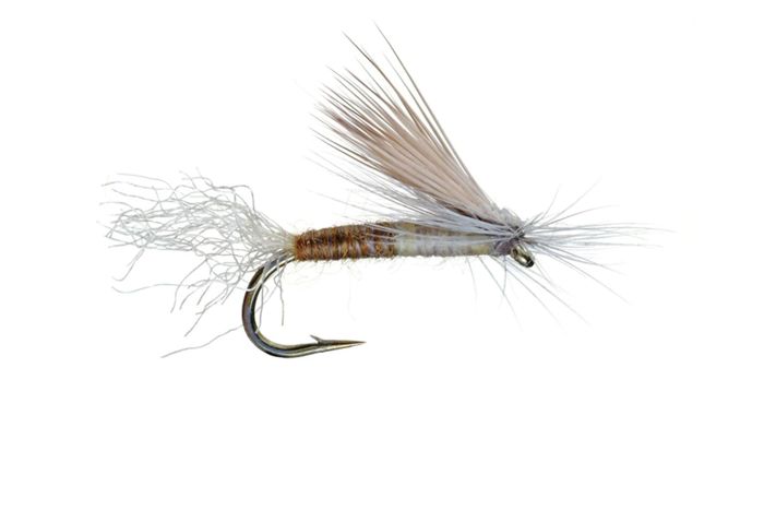 Мушка Umpqua Cutter's E/C Caddis Fly