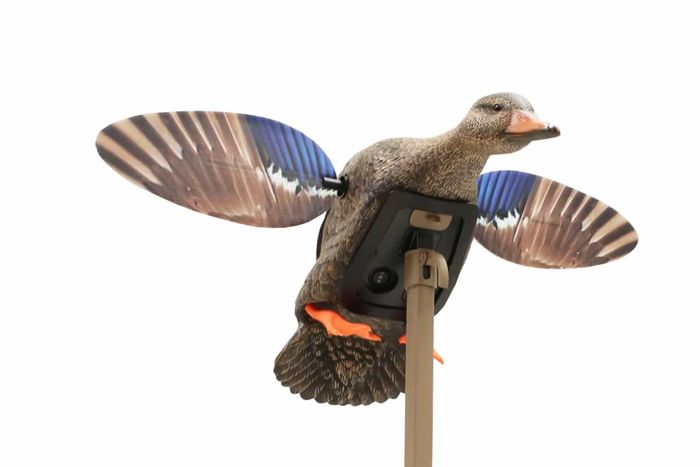 Чучело Mojo Elite Series Mini Mallard Hen Duck Decoy - MOJO Outdoors