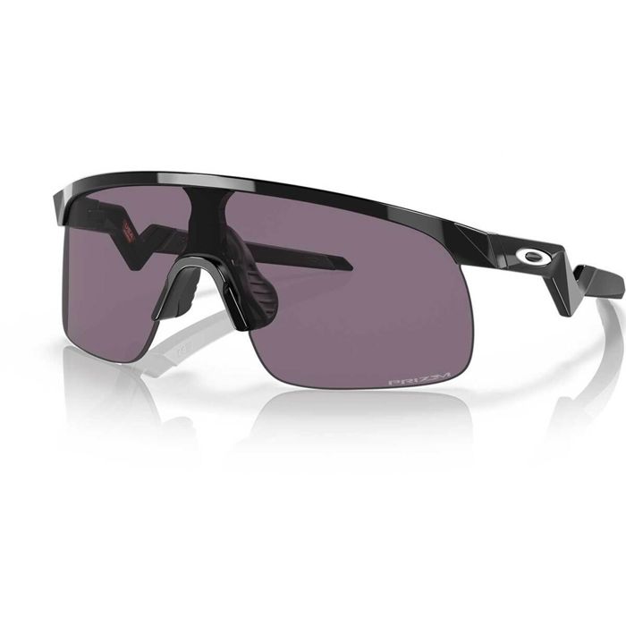 Поляризационные очки Oakley Resistor Sunglasses