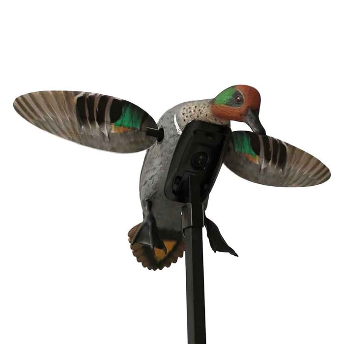 Чучело Mojo Elite Series Remote Ready Teal Duck Decoy - Green Wing