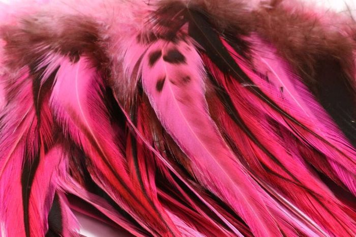 Материал для вязания мушек Hareline Dubbin Badger Saddle Hackle