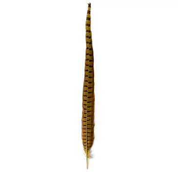 Материал для вязания мушек Orvis Pheasant Tail