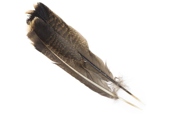 Материал для вязания мушек Hareline Cinnamon Tip Turkey Tail Feathers