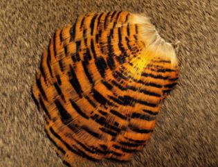Поводковый материал Nature's Spirit Golden Pheasant Tippet - Full Section