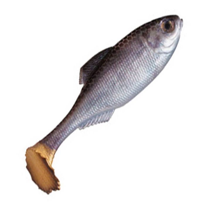 Силиконовая приманка 6th Sense Panorama Soft Swimbaits