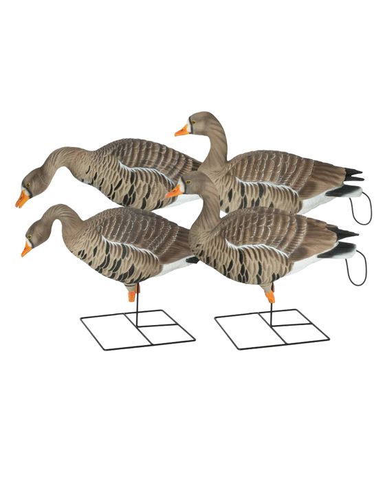 Чучело GHG Pro-Grade XD FFD (Fully Flocked) Full Body Specklebelly Decoys Harvester 4 Pack