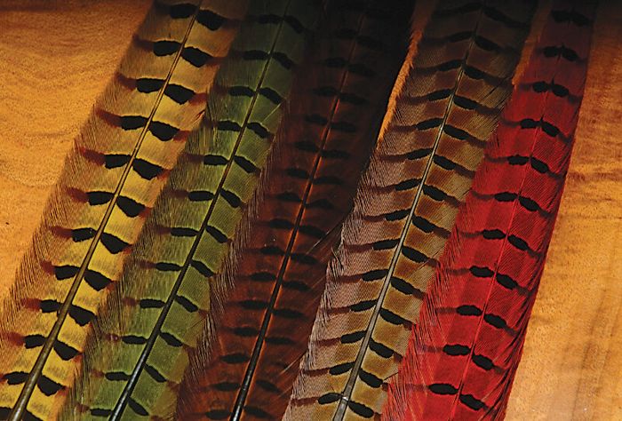 Мушки Hareline Dubbin Hareline Ringneck Pheasant Tail Feathers