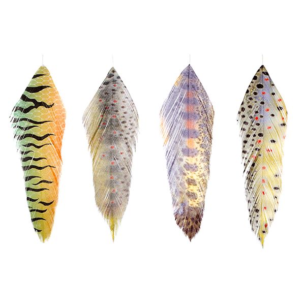 Материал для вязания мушек J. Stockard Fly Fishing Galloup's Fish Feathers