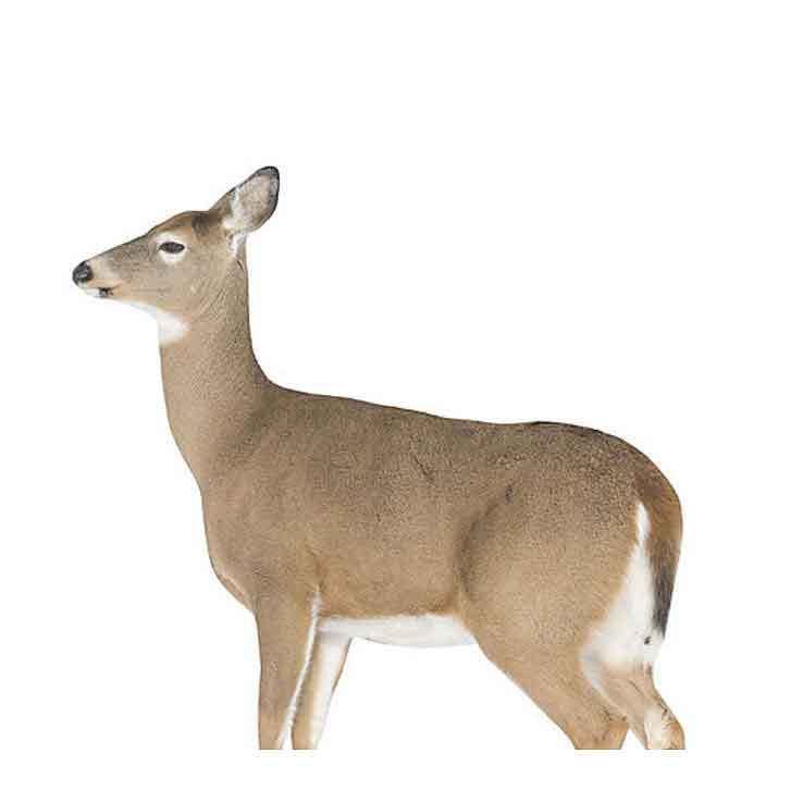 Чучело Montana Decoy Dreamy Whitetail Doe