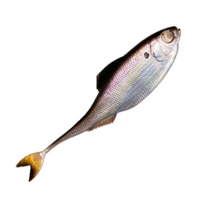 Силиконовая приманка 6th Sense Fiction Shad Soft Swimbait