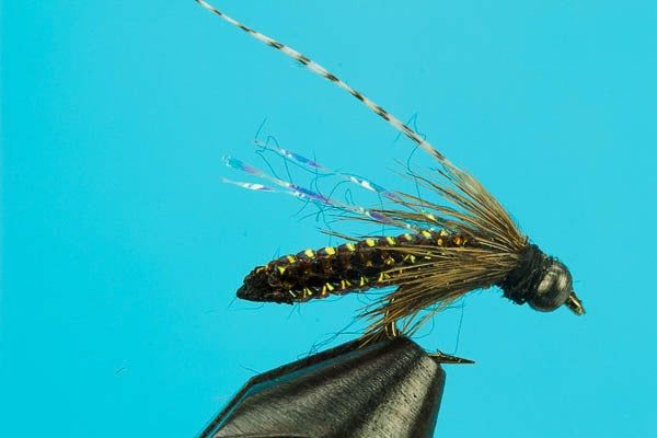 Плетёный шнур Big Y Fly Co. Braided Caddis Pupa-Beadhead