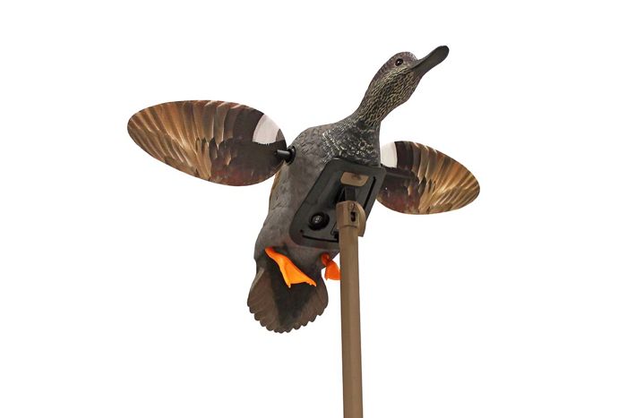Чучело MOJO Elite Series Game Winner Gadwall Duck Decoy for Sale