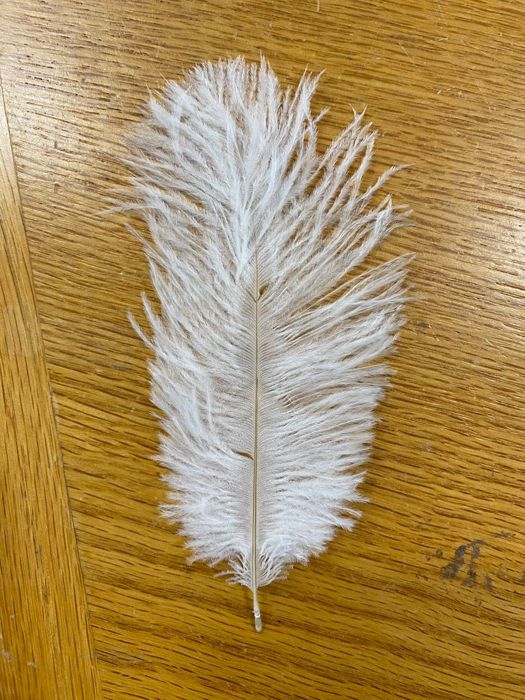 Материал для вязания мушек Wapsi Ostrich Marabou