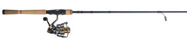 Pflueger President/Fenwick Eagle комбо 5'6" UL