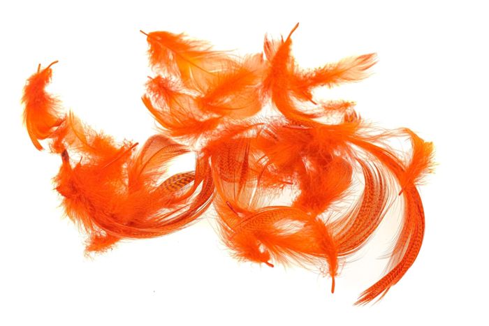 Материал для вязания мушек Hareline Mallard Flank Feathers