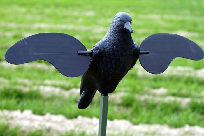 Чучело MOJO Motion Crow Decoy for Sale | Moving Crow Decoy