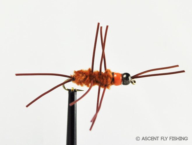 Снаряжение для собаки Ascent Fly Fishing Beadhead Hot Collar Pat's Rubberleg