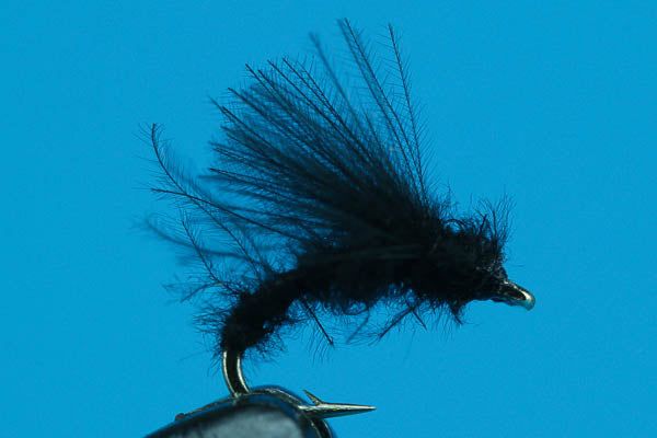 Мушки Big Y Fly Co. Little Black Caddis - Dry Fly