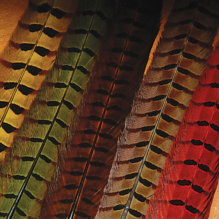 Материал для вязания мушек J. Stockard Fly Fishing Ringneck Pheasant Tail Pair