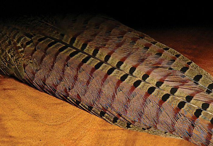 Мушки Hareline Ringneck Pheasant Tail Clump - Natural